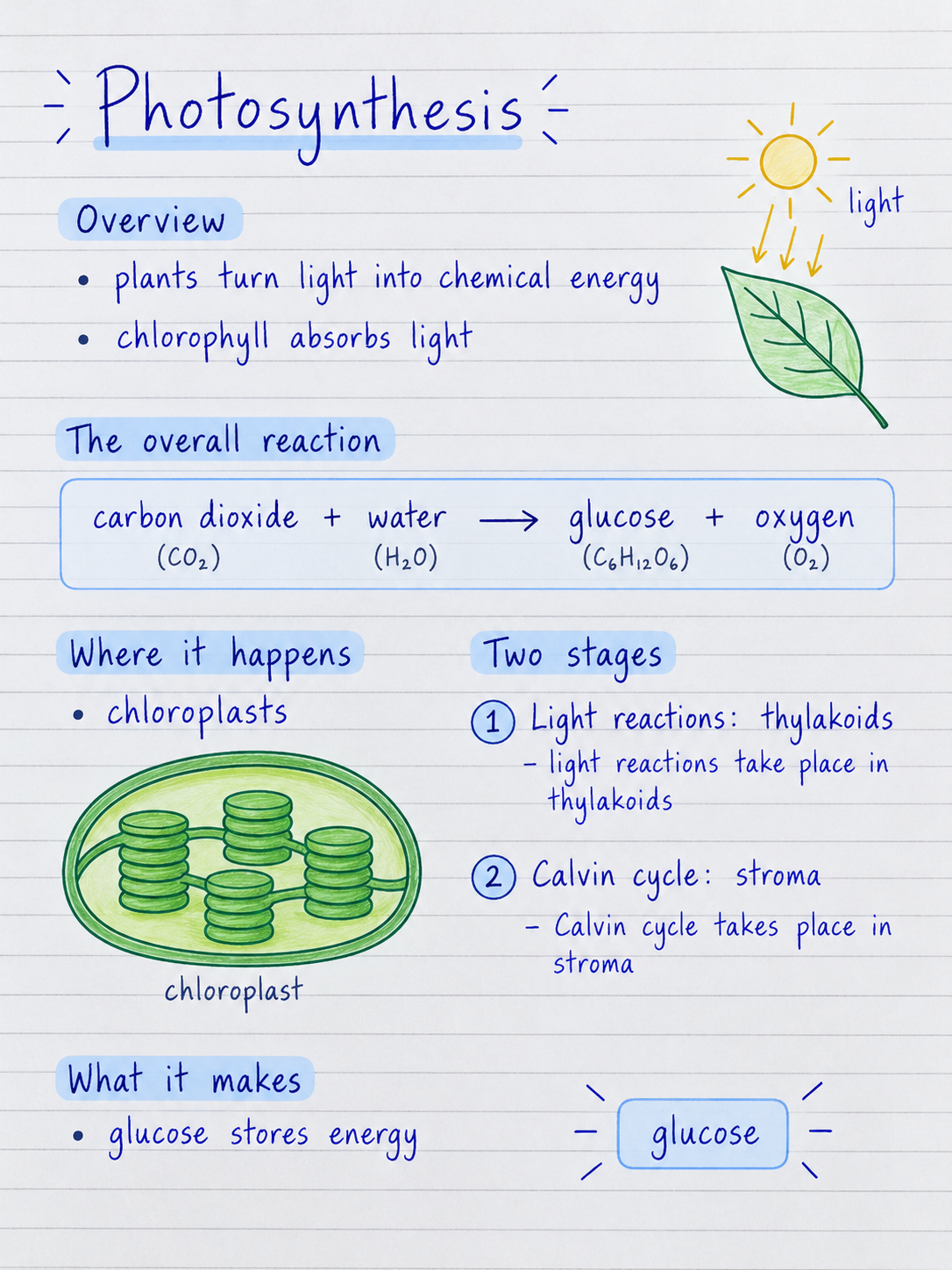 Balanced photosynthesis study note example
